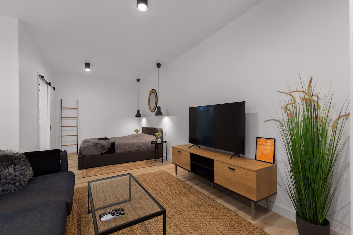 Open-plan living and bedroom